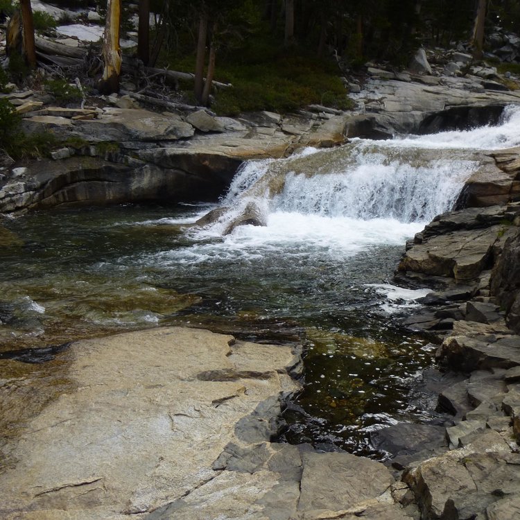 Evolution Creek from July 2012.