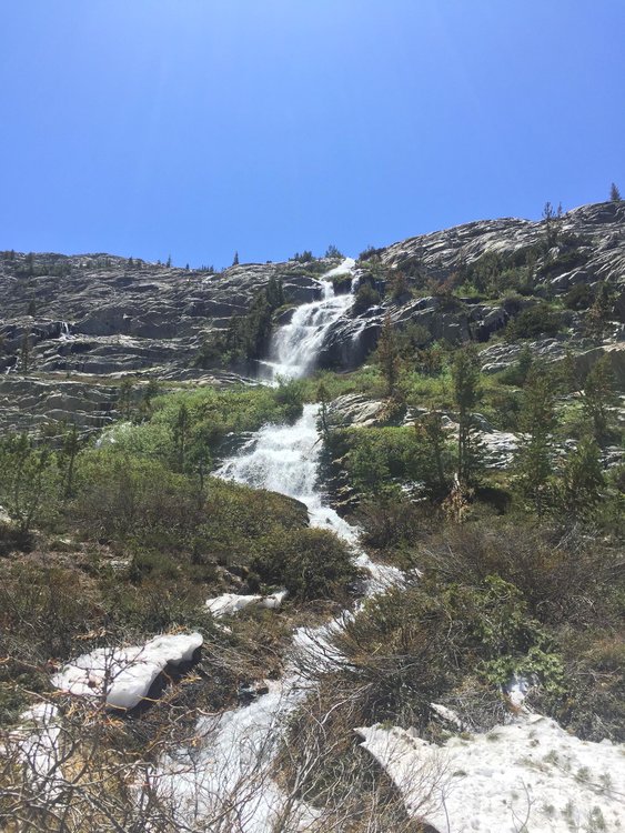 One of the streams that usually isn't there, pouring down from the LeConte Divide to turn the trail into wading along in 2 inches of running ice water.
