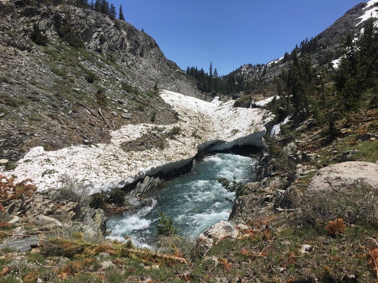 Consolidated snow gathered in the bottom over the river, which was flowing blue and white. We did not get to see how far up the canyon this phenom went, we turned around at a snowfield over the trail.