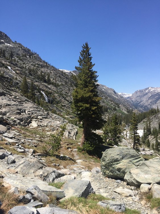 Our own little Sierra canyon, all to ourselves.