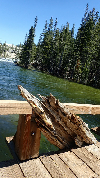 Log Jam at the twin bridges