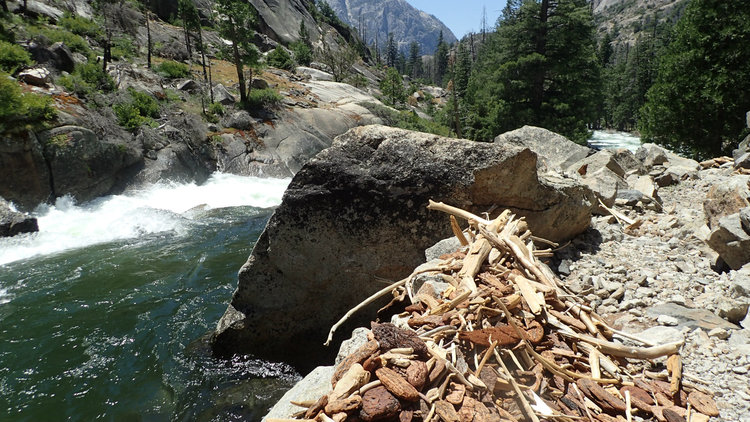 Driftwood on the trail. Thinking of how high the water line was earlier this spring.