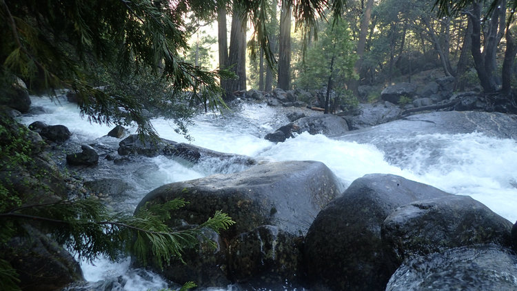 Crossing at Register Creek