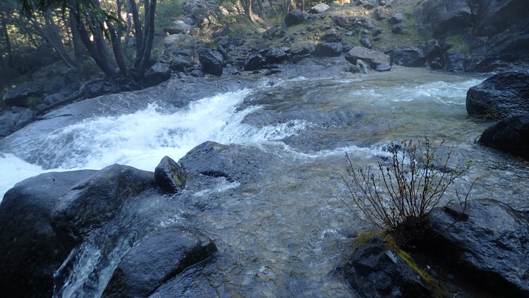 Crossing at Register Creek