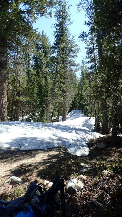 Murphy Creek Trail