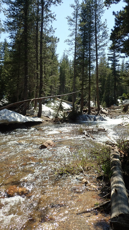 aP7030368.jpg