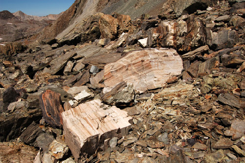 metamorphicrock goddard72.jpg