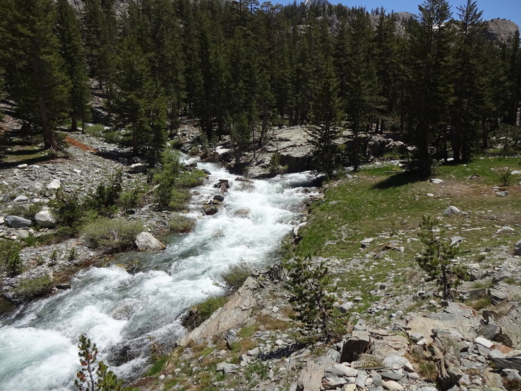 DSC00475 (1).jpg