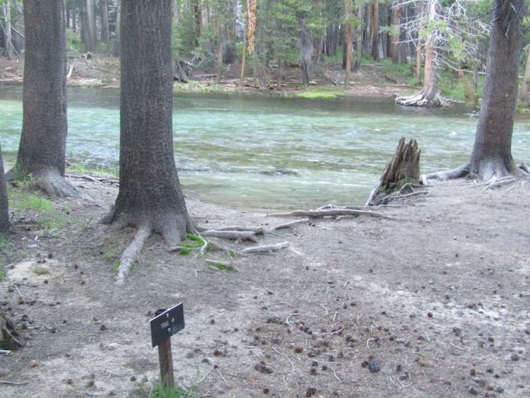 Evolution Creek Trail Crossing