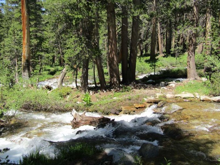 Pine Creek Crossing