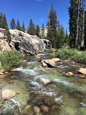 Just above Buck Meadow Creek crossing