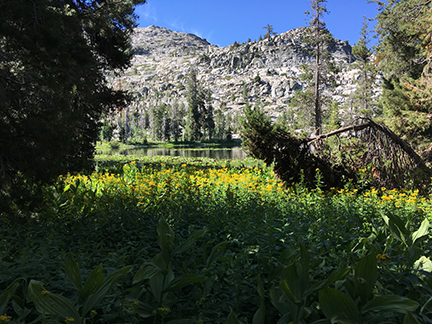 Grouse Lake, on the way out