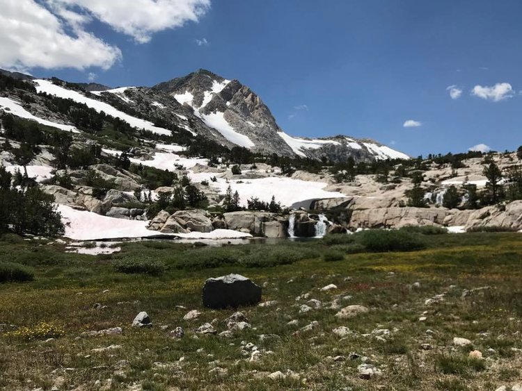 Meadow near Piute Lake