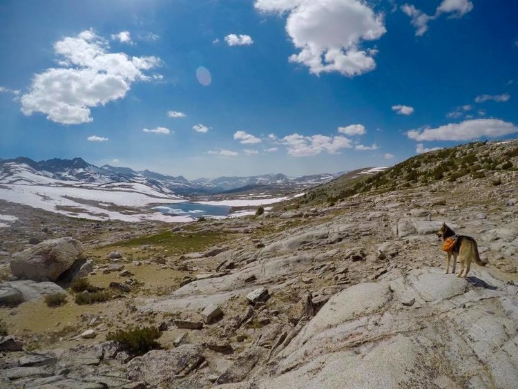 Overlooking Humphreys Basin