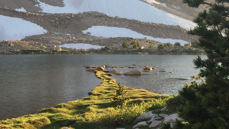 Really cool thin strip of Meadow that extends out into Gloden Bear Lake