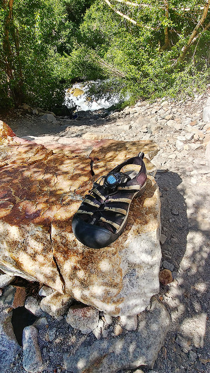 Why? Why just one sandal?!