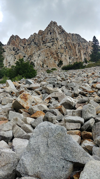 7a.jpg