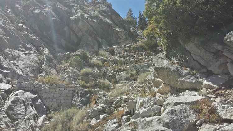 Trail Headed Up the Sphinx