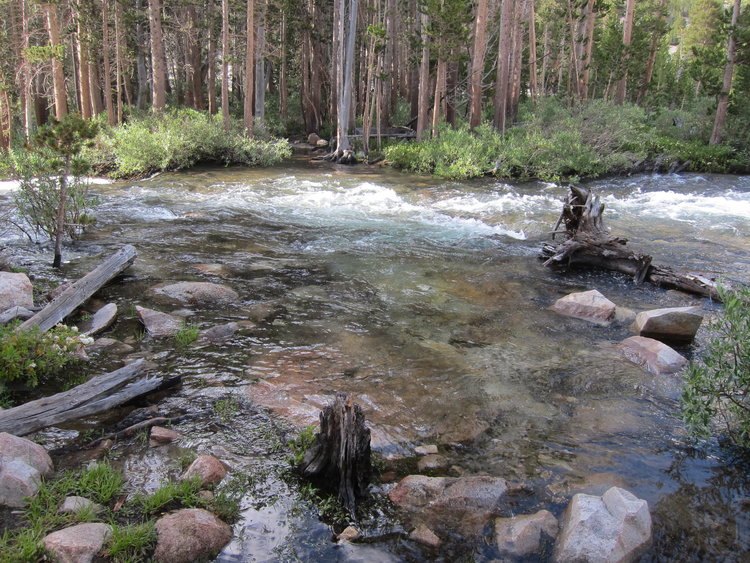 Stock crossing of Pine Creek below Pine Lake