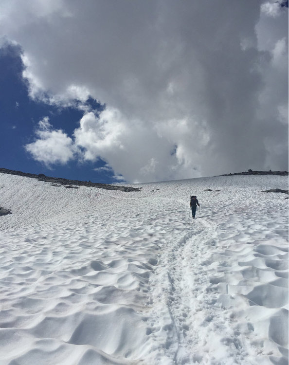 Donahue Descent.jpg