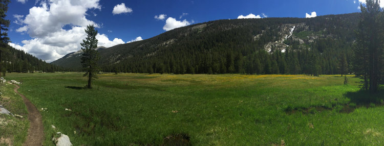 Lyell Canyon 1.jpg