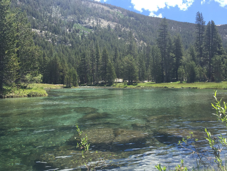 Lyell Canyon 2.jpg