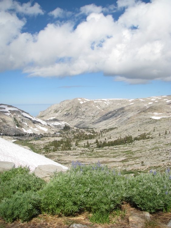 Looking down at Table Meadows from Tablelands, snow coverage was about 50% here...