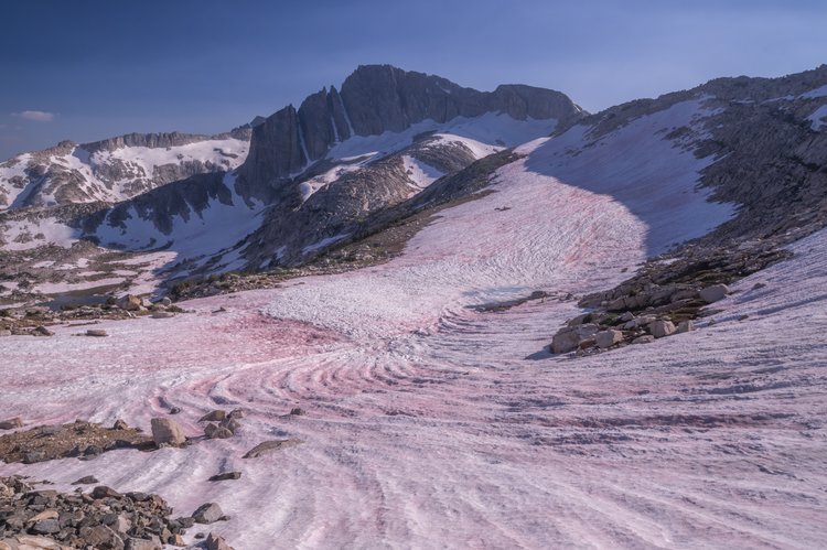 Watermelon snow!