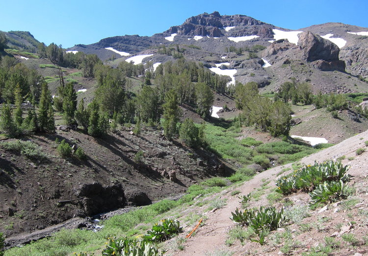 Starting up the PCT from Sonora Pass