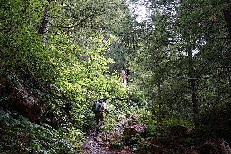 Sol Duc Valley