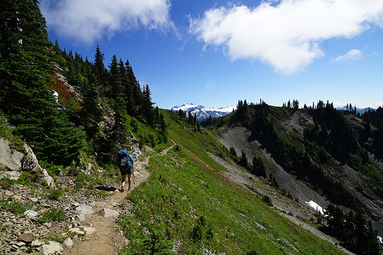 Towards Bogachiel Peak and the High Divide with Mt. Olympus in the background.