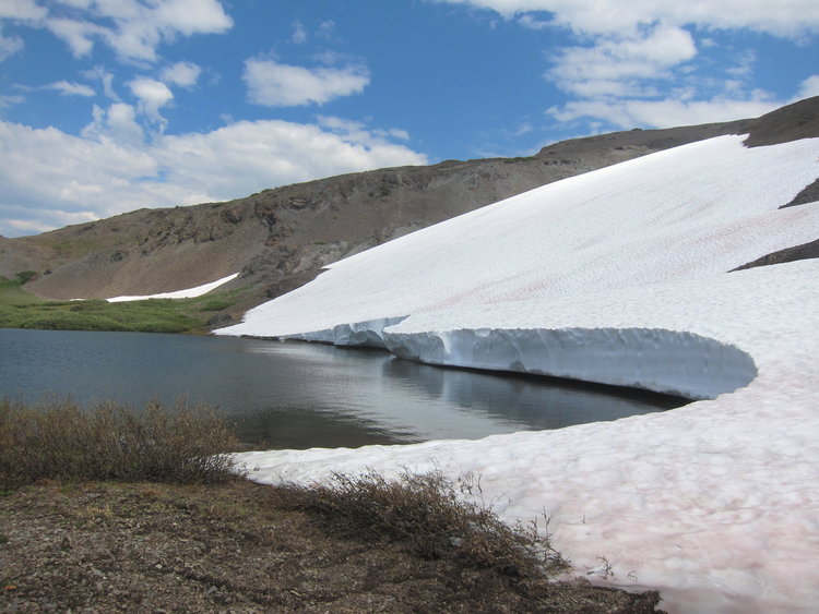Snow blocking path to east side of Lost Lake