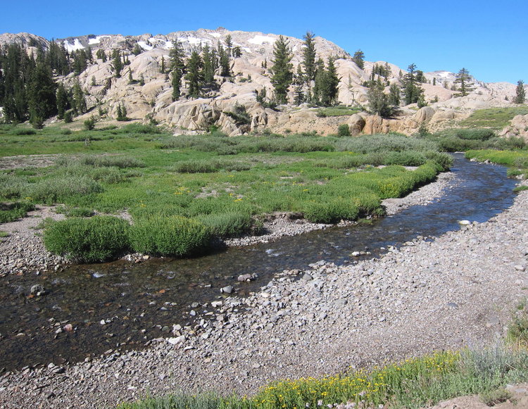 Summit Creek near Lunch Meadow
