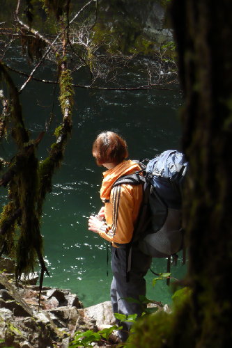 Pool in Little North Fork Santiam River (due to falls just above this is the upper reach of a Winter Steelhead Run)