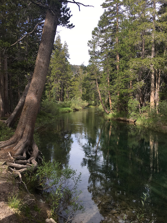 Rush Creek