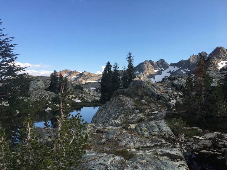 Looking east toward Mammoth
