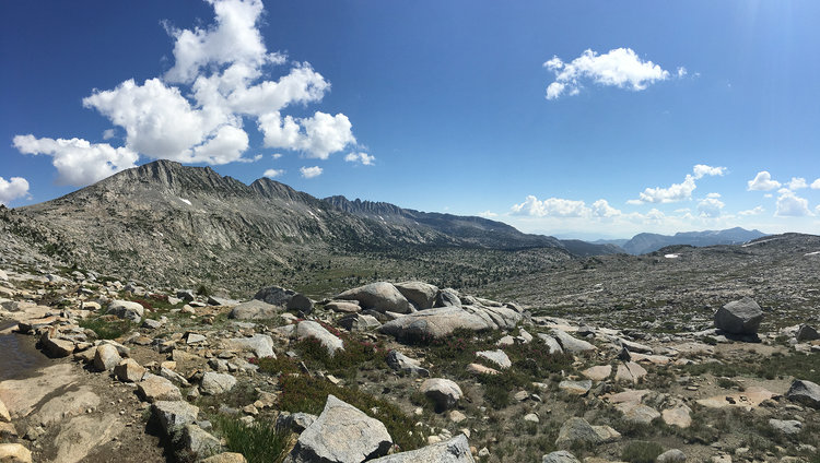 Looking east
