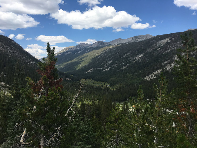 Descending into Lyell Canyon