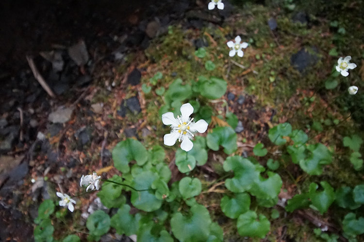 DSC04302.JPG