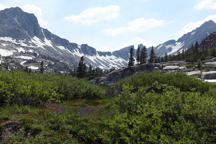Meadows below Big McGee lake