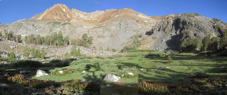 Meadow west of Big Mc Gee Lake