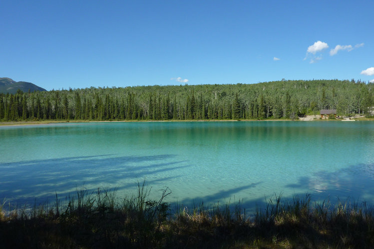Boya Lake, Color is due to white marle bottom of the lake
