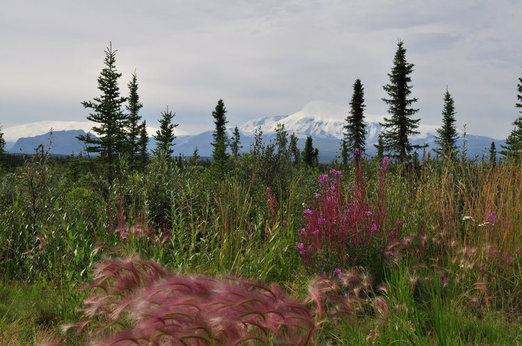 Mt Wrangle and Mt. Sanford, Wrangle-St. Elias NP