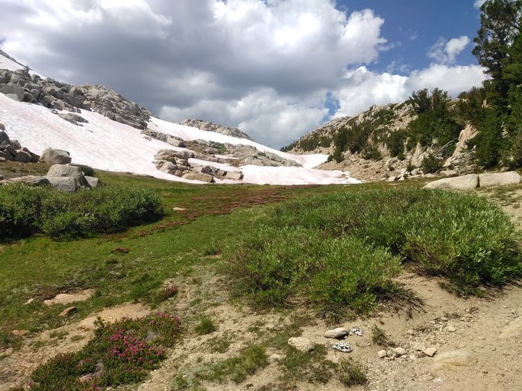 On the way up to Goodale Pass