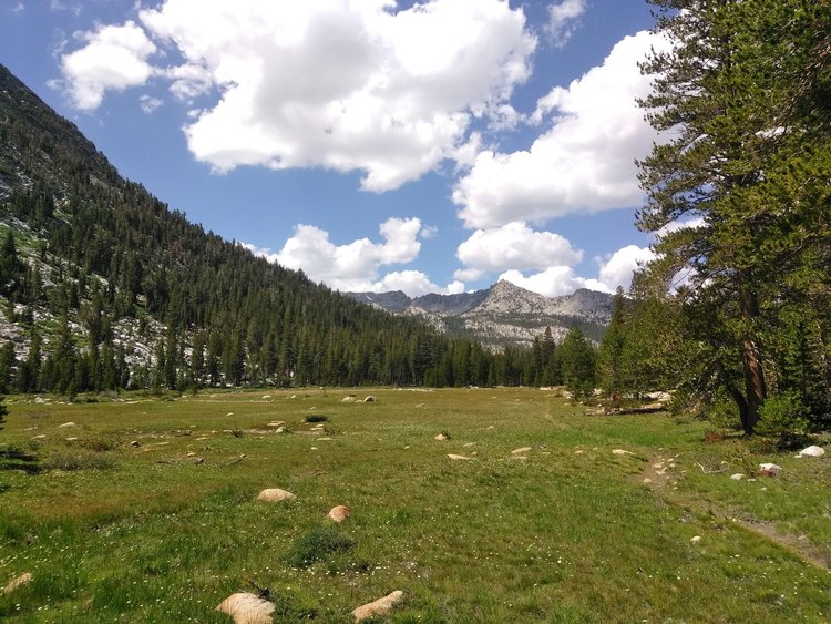 Another one of the meadows along the Hilgard Branch