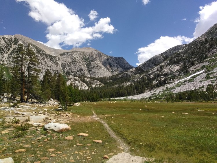 One of the meadows along the Hilgard Branch