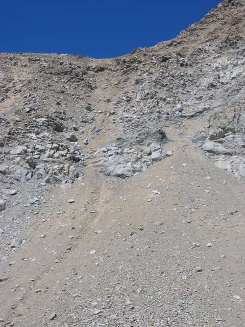 WallaceCol2.jpg
