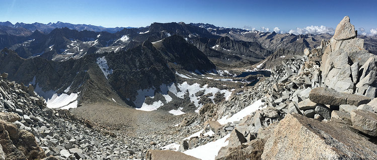 Brewer header.jpg
