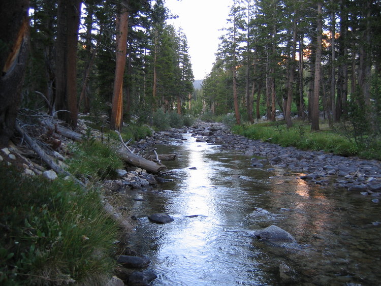 The trail is about 200 yards north of where this photo was taken.  Cairns and rows of arranged rocks invite hikers to walk up the obvious path.
