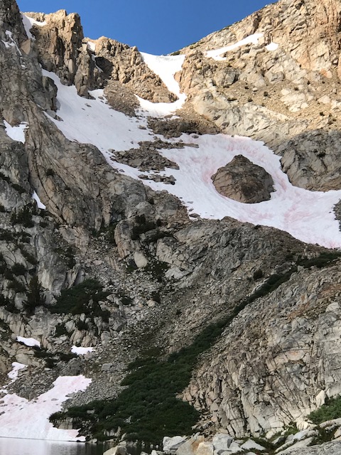 View of Cataract Creek pass: August 2017